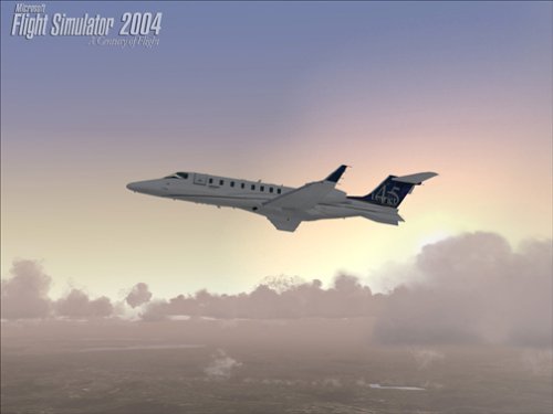 Cover image : MS FLIGHT SIM 2004 MB(輸入版)