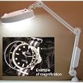 Precision Swing Arm Daylight Magnifying Lamp