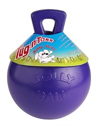 Jolly Pet 10-Inch Tug-n-Toss, Purple