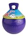 Jolly Pet 10-Inch Tug-n-Toss, Purple