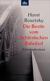 Die Bestie vom Schlesischen Bahnhof: Dokumentarischer Kriminalroman aus den 20er Jahren