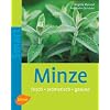Minze: Frisch - aromatisch - gesund