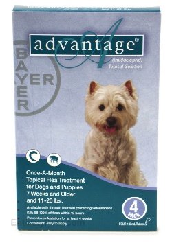 Advantage 4pk Dog Teal 11-20 Lbs