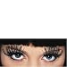 Black Eyelashes Jumbo