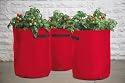 3 x Tomato Patio Planters suitable for Bush & Trailing Plants