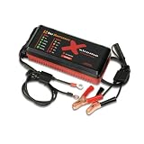 Pulse Tech XC100-P Xtreme Charge 12V Battery Maintenance Charger Desulfator