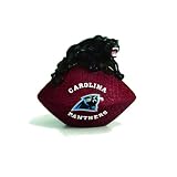 Carolina Panthers Desk Paperweight