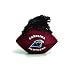 Carolina Panthers Desk Paperweight