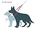 Leash Boss Double Up - Two Dog Leash Coupler + 4 Foot Dog Leash with Padded Handle for Large Dogs (16-28 Inch Coupler + 4 Foot Leash, Classic Black)