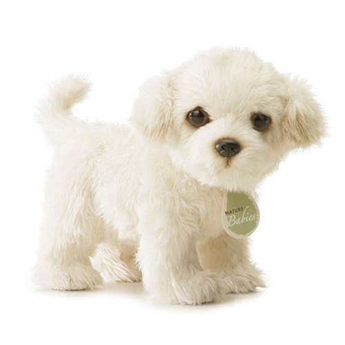 Childrens Toyshop  Toys : Aurora Plush 12" Mimi, Aurora Babies Toy Maltese