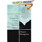 The Beautiful Things That Heaven Bears by Dinaw Mengestu