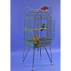 Polly\’s Pleasures Victorian Wrought Iron Bird Cage 22 X 17