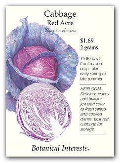 Cabbage Red Acre Seed