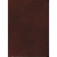 [2006 Mormon Church Employee Christmas Gift Edition] Triple Combination [Book of Mormon, Doctrine and Covenants, Pearl... by  Mormon Church