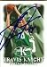 Travis Knight Autographed/Hand Signed Basketball Card (Boston Celtics)