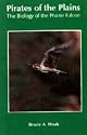 Pirate of the Plains: Adventures With Prairie Falcons on the High Desert