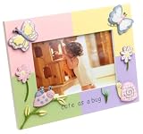 Gossamer Wings Picture Frame