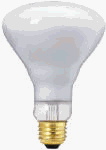 WP 65W BR30 Spot Bulb
