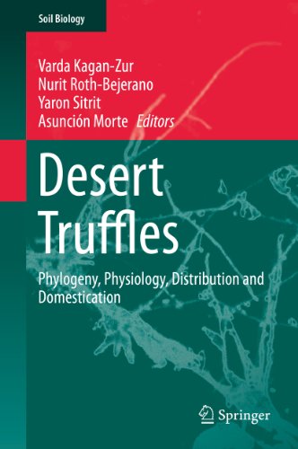 Desert Truffles: Phylogeny, Physiology, Distribution and Domestication: 38 (Soil Biology)