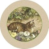 In The Garden Thirstystone Sandstone Coasters