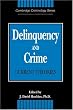 Delinquency and Crime: Current Theories (Cambridge Studies in Criminology)