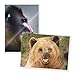 TruLam Laminating Pouches - Small Portrait Size - 5-1/4-Inch by 7-1/4-Inch - 3 Mil Thickness - 200 Per Box - Compatible with Most Pouch Laminating Machines
