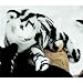 Plüti 1485-080-452 - Tiger, liegend, weiß/schwarz - 80 cm