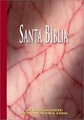 Letra Gigante Santa Biblia-RV 1960 / Large Print Spanish Bible-RV 1960