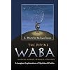 The Divine Waba (Within, Among, Between and Around): A Jungian Exploration of Spiritual Paths (The Jung on the Hudson Book Series)