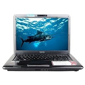 Toshiba Satellite A305-S6872 Core 2 Duo T5800 2.0GHz 3GB 250GB DVD±RW 15.4