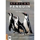 Click here to buy African Penguin: A Natural History by  P. A. R. Hockey.