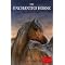 Ponies, Horses and Unicorns for Girls aged 7