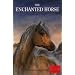 The Enchanted Horse (Young Lions Storybook)