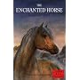 The Enchanted Horse (Young Lions Storybook)