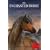The Enchanted Horse (Young Lions Storybook)