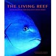 The Living Reef: The Ecology of New Zealand's Rocky Reefs by Neil Andrew