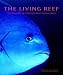 Book The Living Reef: The Ecology of New Zealand's Rocky Reefs