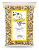 Colassal Cockatiel-2 lbs