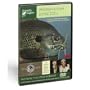 SCIENTIFIC ANGLERS: DVD, Panfish and Bass with Larry Dahlberg