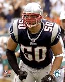 Mike Vrabel - New England Patriots NFL 8x10 Photo (close-up)
