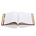 Wilson Jones Corporate Minute Book, Letter Size 8.5 x 11 Inches, 125 Pages/250 Sides, Red (W0396-11)