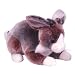 Search : Ty Classic Plush - Meadow the Ty-dyed Bunny