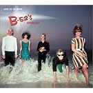 Nude on the Moon: The B-52's Anthology