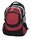 Swiss Gear Zermatt Daypack