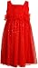 Bonnie Jean Girls 2-6x Sparkle Mesh Dress