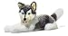 Steiff 104961 - Bernie Husky grau/weiss liegend