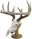 Walnut Hollow Country Skull Mount Kit, Oak