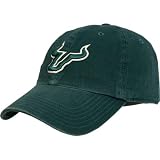 NCAA 47 Brand South Florida Bulls Green Franchise Fitted Hat