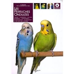 Les perruches ondul�es