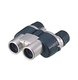 Vixen 1306 10-30x21 CF Zoom Binoculars